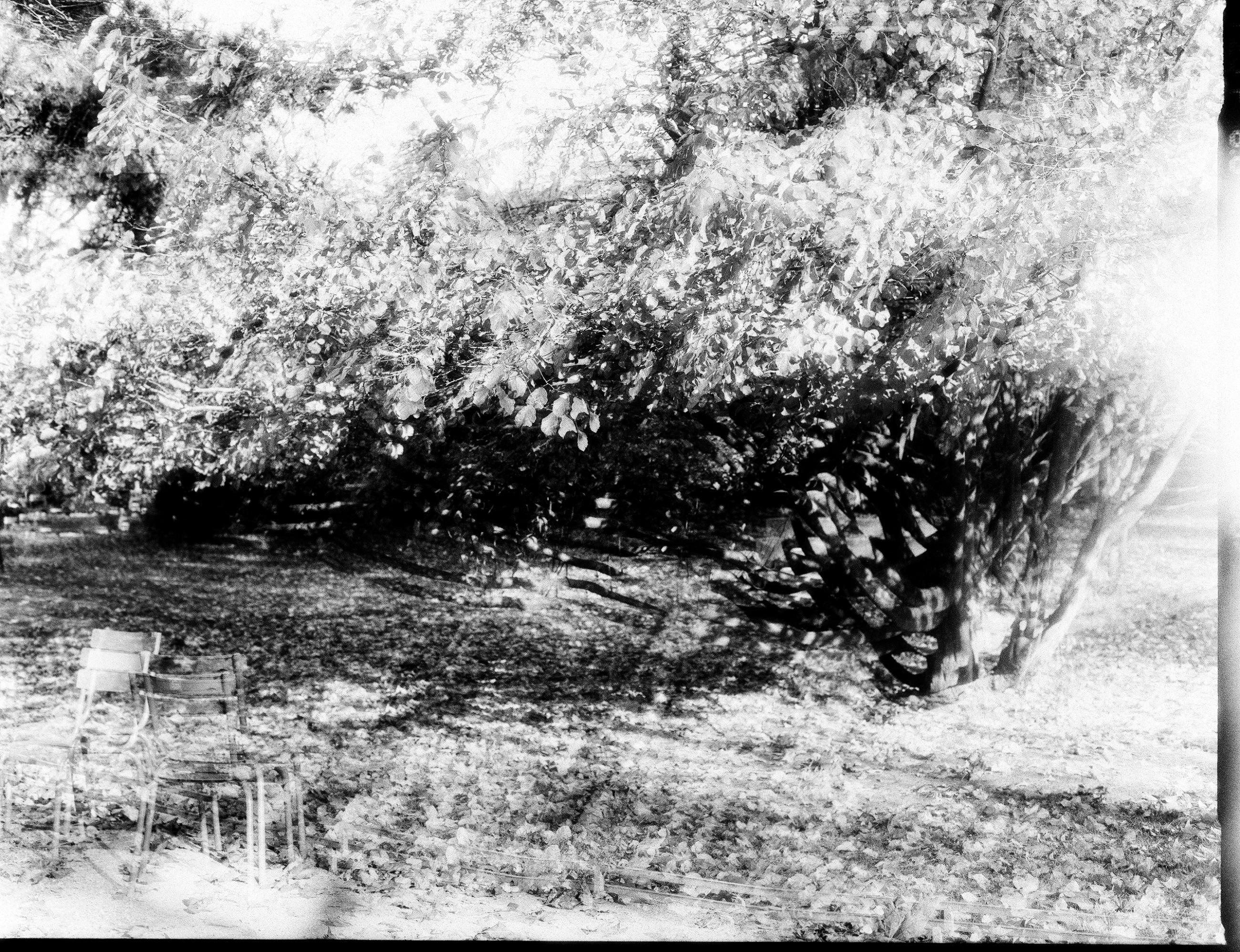 Fleurs et jardins Carole Bellaïche