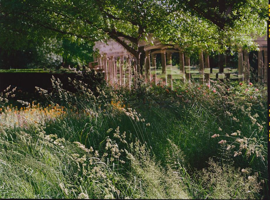 Fleurs et jardins Carole Bellaïche