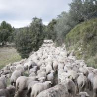 ABADIE_BERENGERE_001