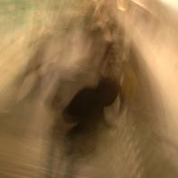 Didier Goupy | Metropolis