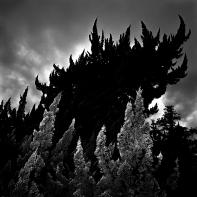 LAMBOURS_EXPOGAIJIN_001