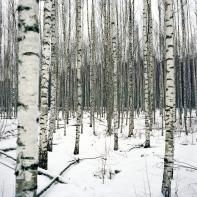 Jeremie Jung - Au large du temps, Setomaa, Estonie