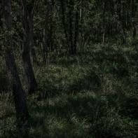 Promontoires du silence Didier Goupy