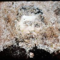 Mémoire de verre, mémoire de guerre Patrick Bard