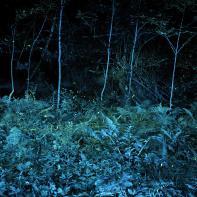 SEMENIAKO_LUCIOLES_009