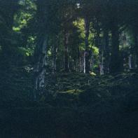 Based on a true story - Arno Brignon