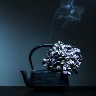 Still life Joanna Tarlet Gauteur