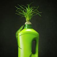 Embouteillages Ludovic Alussi