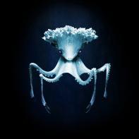 Mutants Ludovic Alussi