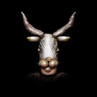 Mutants Ludovic Alussi