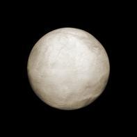 Entre les barbelés Ludovic Alussi