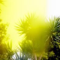 Insulaire, sur les traces de Saint-John Perse Sandrine Expilly