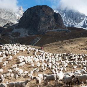 ABADIE_BERENGERE_019
