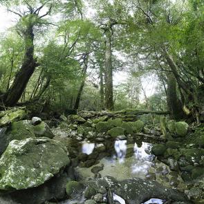 MONLAU_FORET_021