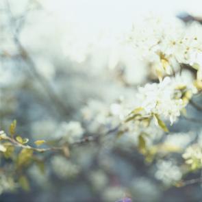 MLIESSE_POUCETTE_010