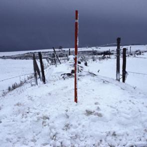 SCHULLER_AILLEURS_006