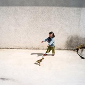 LEVILLAIN_EXPOMOMES_010