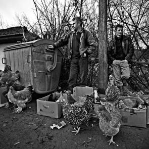 PORNECZI_KOSOVO_010