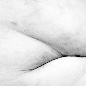 DEX_EXPOINFINE_019