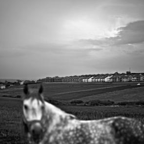 PORNECZI_KOSOVO_024