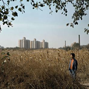 TEZENAS_PORTFOLIO_031