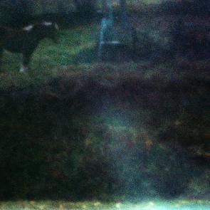 Based on a true story - Arno Brignon