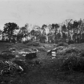 Based on a true story - Arno Brignon