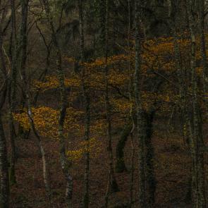 Promontoires du silence Didier Goupy