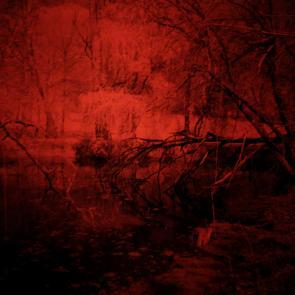 La forêt écarlate Patrick Bard