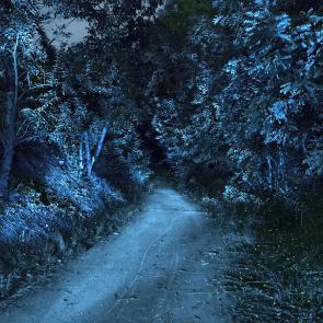 SEMENIAKO_LUCIOLES_007