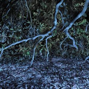 SEMENIAKO_LUCIOLES_014