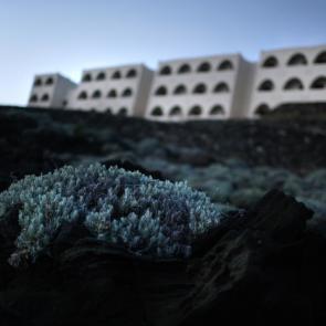 BORREDON_PANTELLERIA_008