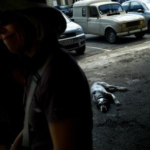 BORREDON_BASTIDES_010