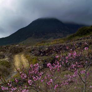 BORREDON_PANTELLERIA_011