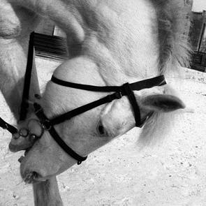 expo transsiberiens bard-028