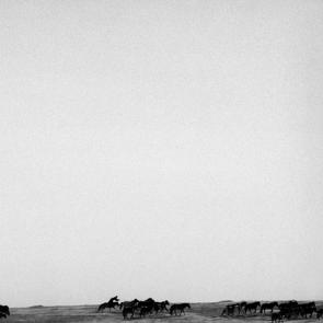 expo transsiberiens bard-042