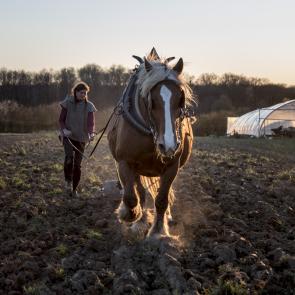 Les essentiels invisibles
