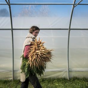 Les essentiels invisibles