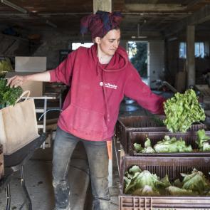 Les essentiels invisibles