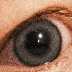 Monde des miasmes Nadège Abadie