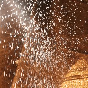 Monde des miasmes Nadège Abadie