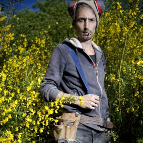 Les genêts Laurent Monlaü