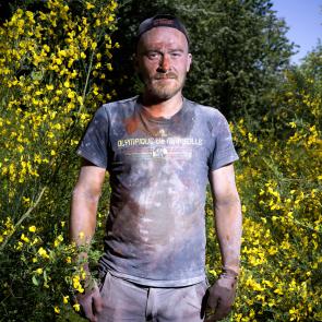 Les genêts Laurent Monlaü