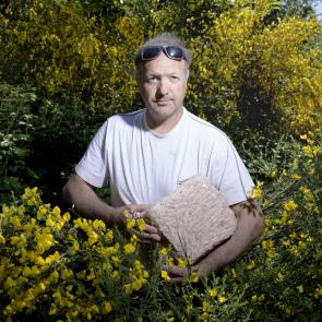 Les genêts Laurent Monlaü