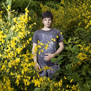 Les genêts Laurent Monlaü