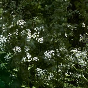 Refuge Sandrine Expilly