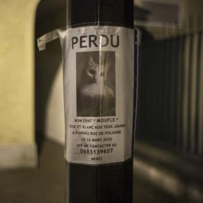 60 m2, 1 km à la ronde Eric Facon