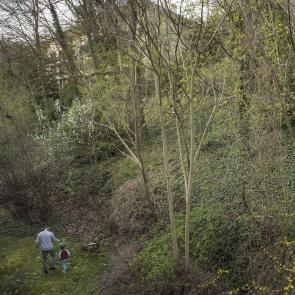 60 m2, 1 km à la ronde Eric Facon