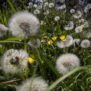 60 m2, 1 km à la ronde Eric Facon