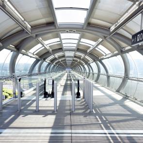 Cloué au sol Sophie Brändström